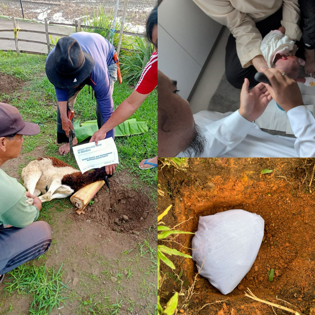 aqiqah and tahnik singapore