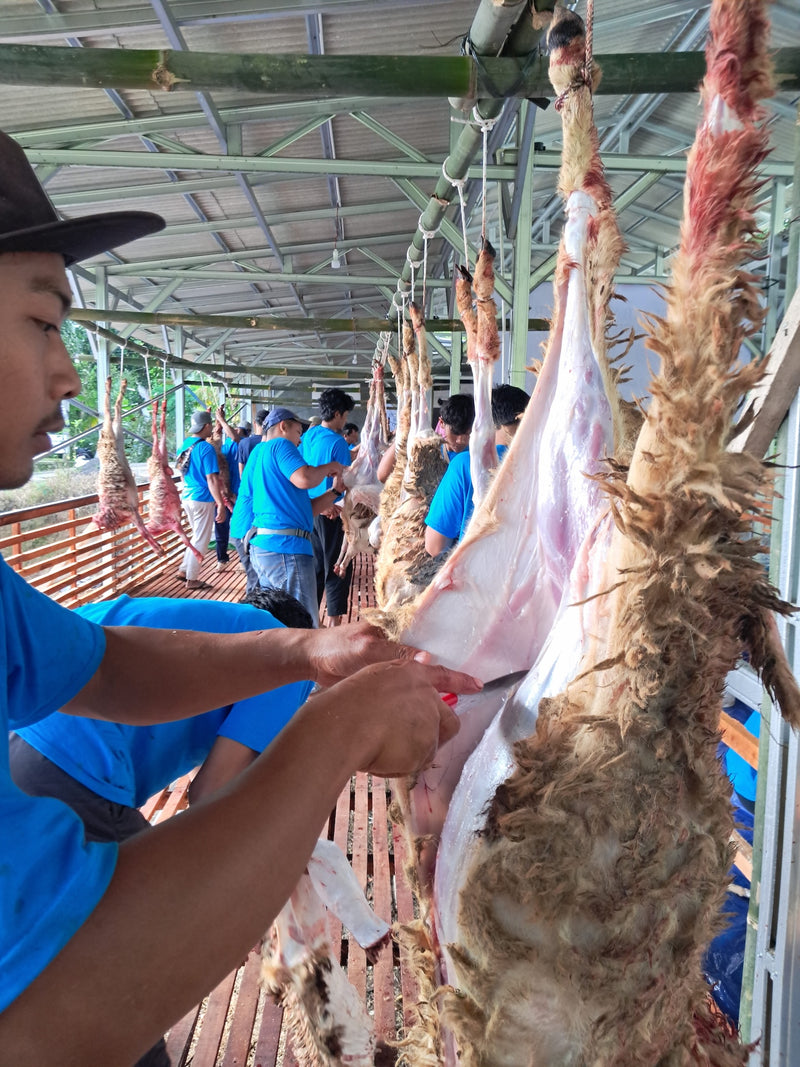 Volunteers distributing food parcels