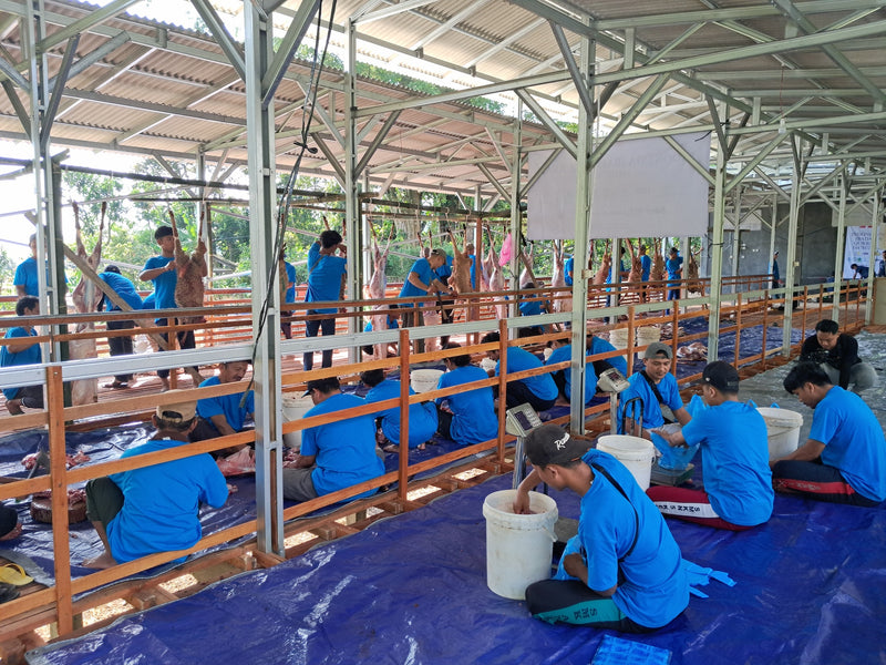 Volunteers distributing food parcels