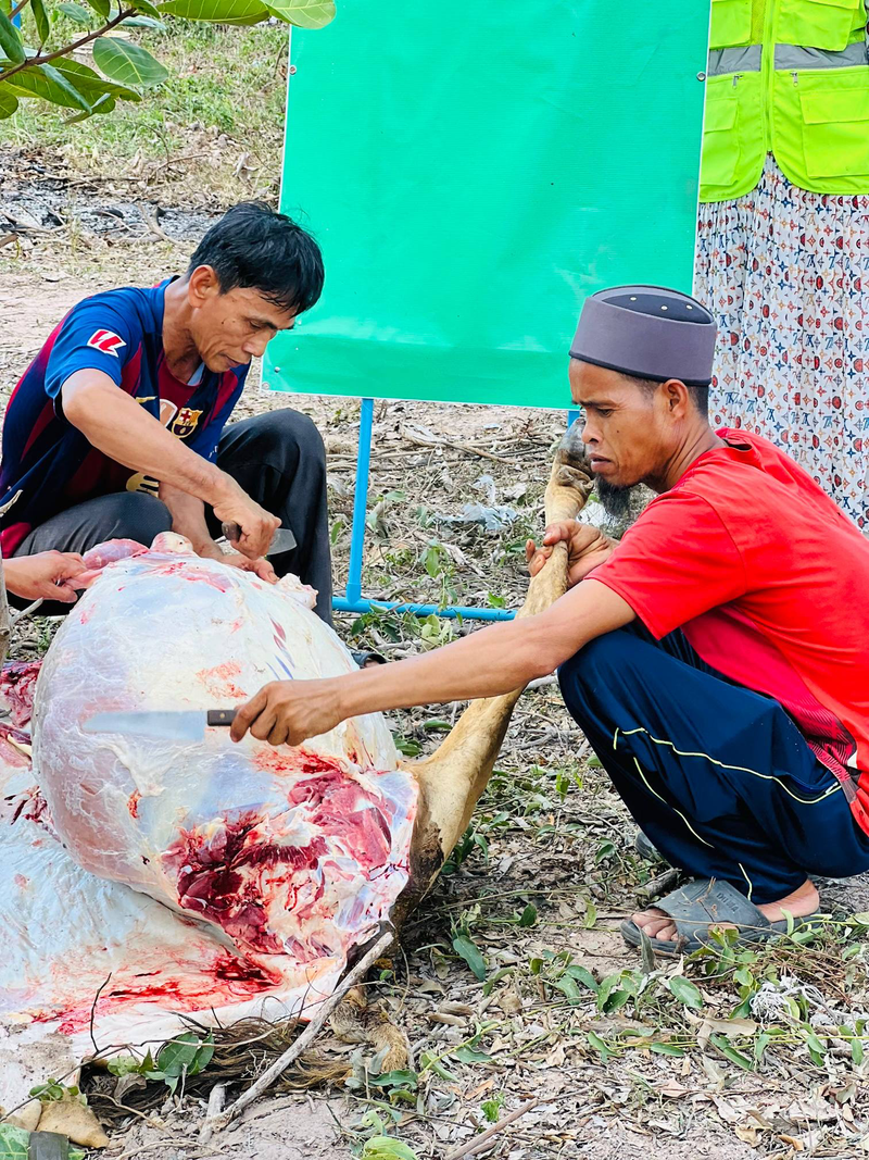 Korban 2026