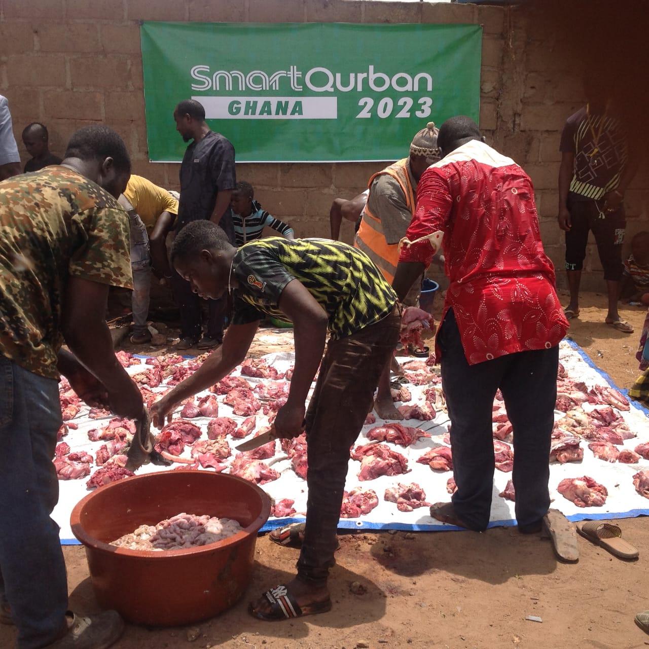 Ghana (Goat/Cow) - 2026