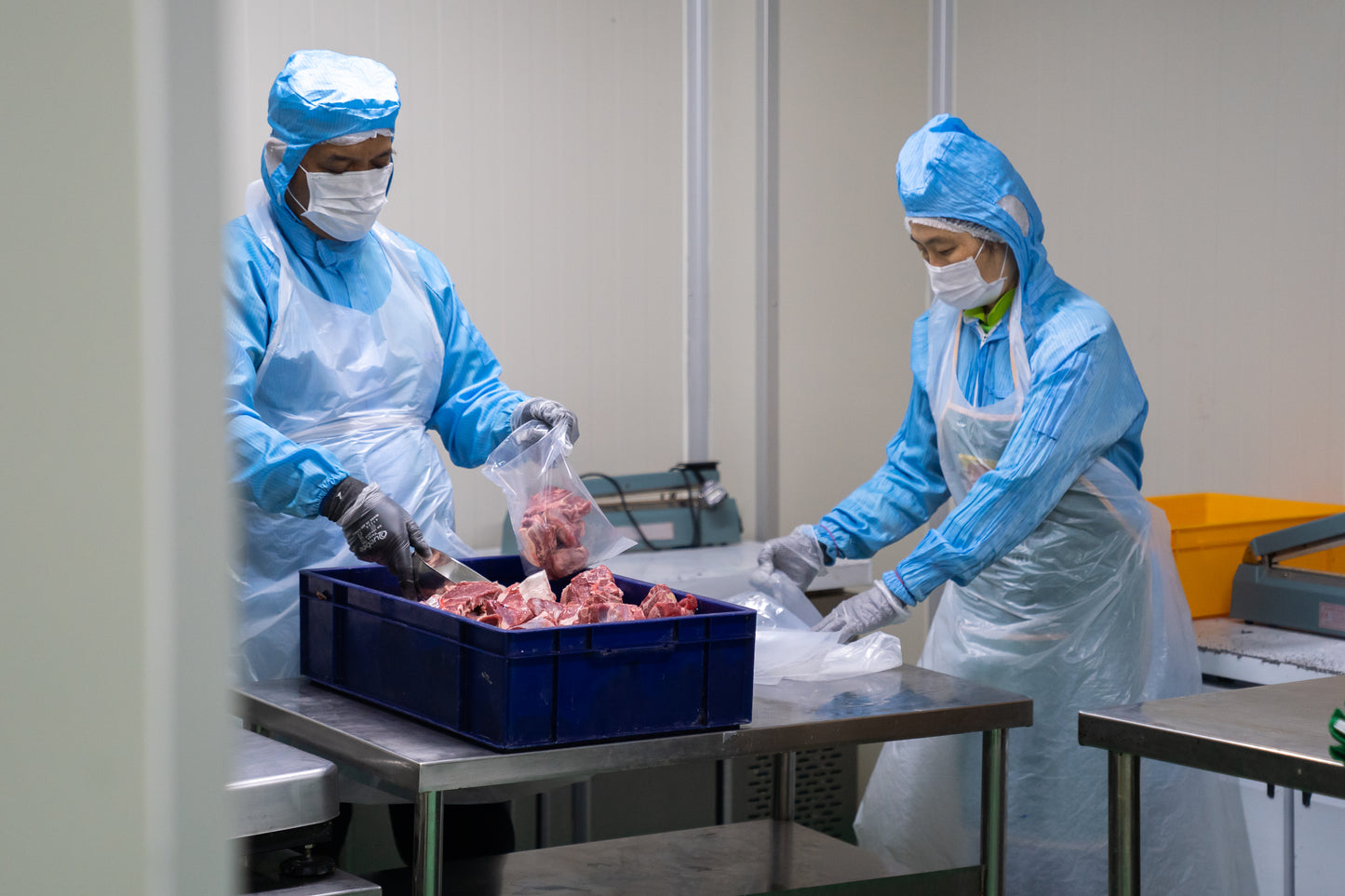 Australia (Sheep) - 2026